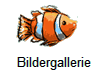   Bildergallerie